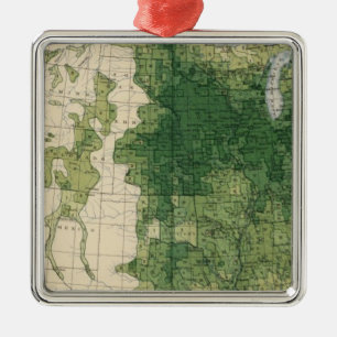 132 verbessertes Land 1900 Ornament Aus Metall