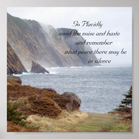 134, Gehen Sie ruhig inmitten des Lärms und der Ei Poster (Vorne)