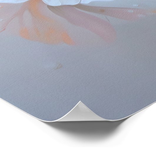 1377 Floral Poster (Ecke)