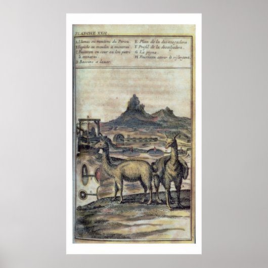 137-0627924 Illustration aus einer Geschichte Peru Poster (Vorne)