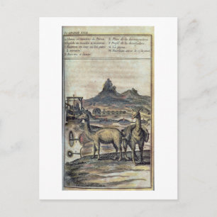 137-0627924 Illustration aus einer Geschichte Peru Postkarte