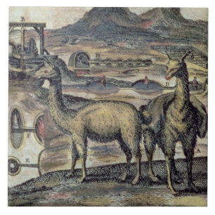 137-0627924 Illustration von einer Geschichte von Fliese