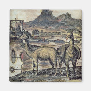 137-0627924 Illustration von einer Geschichte von Magnet