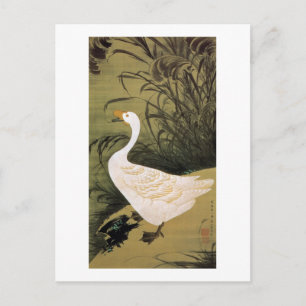 13. 芦 鵞 図, 若 Reed & Goose, Jakuchū, Japan Art Art Postkarte