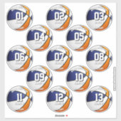 13 basketball sticker set blue orange team colors  (Blatt)