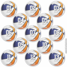 13 basketball sticker set blue orange team colors 