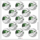 13 basketball sticker set green gray team colors (Blatt)