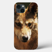 13 Fall: Wolf oder Pet iPhone Case-Mate iPhone Hülle (Rückseite)