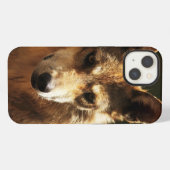 13 Fall: Wolf oder Pet iPhone Hülle (Rückseite (Horizontal))
