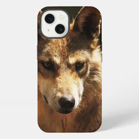 13 Fall: Wolf oder Pet iPhone Hülle (Rückseite)