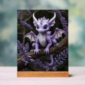 #13 Fantasy Acryl-Schild Acrylschild (Neutral)