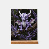 #13 Fantasy Acryl-Schild Acrylschild (Vorderseite)
