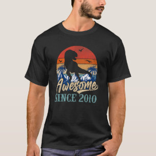 13. Geburtstag Boy Dinosaurier rex 13 Jahre alt Aw T-Shirt