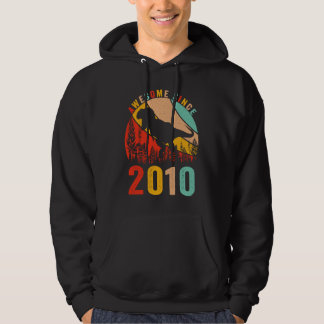 13. Geburtstag Dinosaurier T Rex Jungen Retro Groß Hoodie
