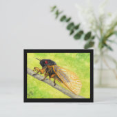 13 Jahre Cicada Malerei Postkarte (Stehend Vorderseite)