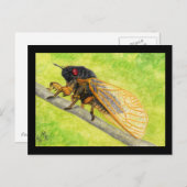 13 Jahre Cicada Malerei Postkarte (Vorne/Hinten)