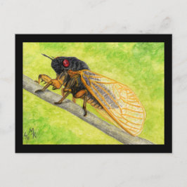 13 Jahre Cicada Malerei Postkarte