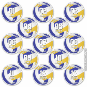 13 Kinder-Teenager Blau-Gold Volleyballverein-Farb Aufkleber