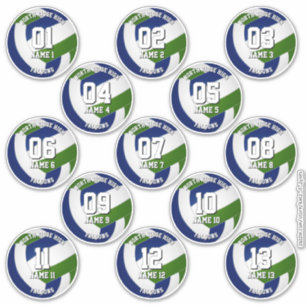 13 Kinder-Teenager-blaue-grüne-Volleyball-Vereinsf Aufkleber