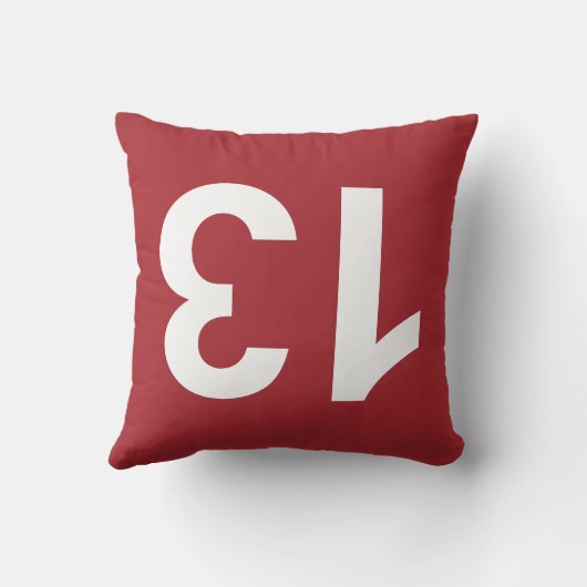 13 KISSEN (Rückseite)