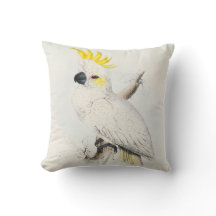 #13-Lesser Cockatoo Schwefel-mit Haube