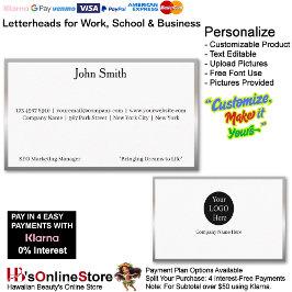 13 Modern Silver Logo Promote Company Brand Name Visitenkarte