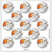 13 orange gray team colors basketball stickers aufkleber (Blatt)