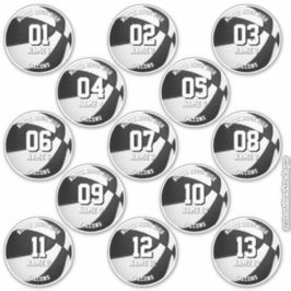 13 stickers for basketball players w team colors aufkleber