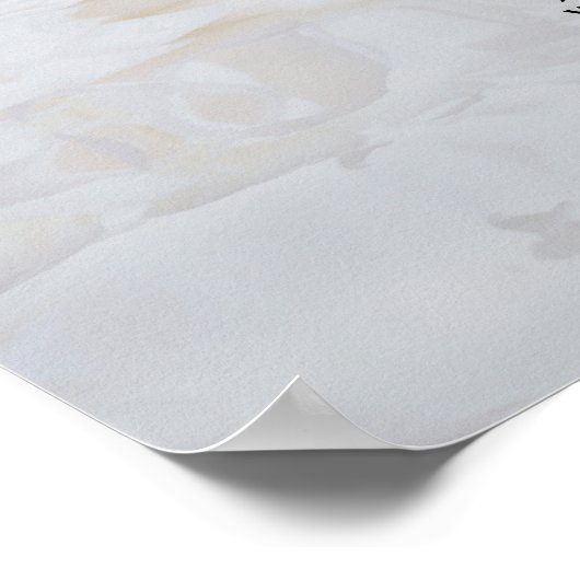 13 Tafelweiße Reflektionen Hochsitzdiagramm Poster (Ecke)