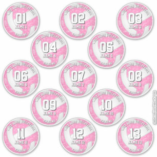 13 Volleyballspieler boho blühende Paisleys pink Aufkleber