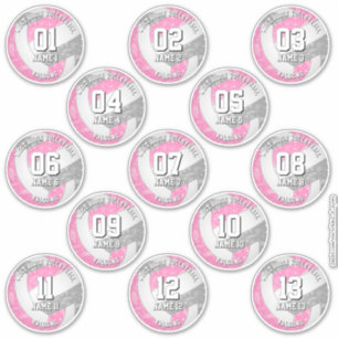 13 Volleyballspieler boho paisleys rosa grau Aufkleber