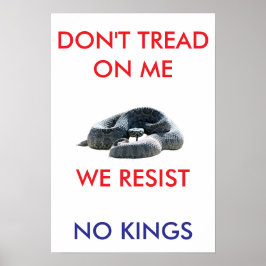 13 X 19 archival hearvy matte paper rally poster