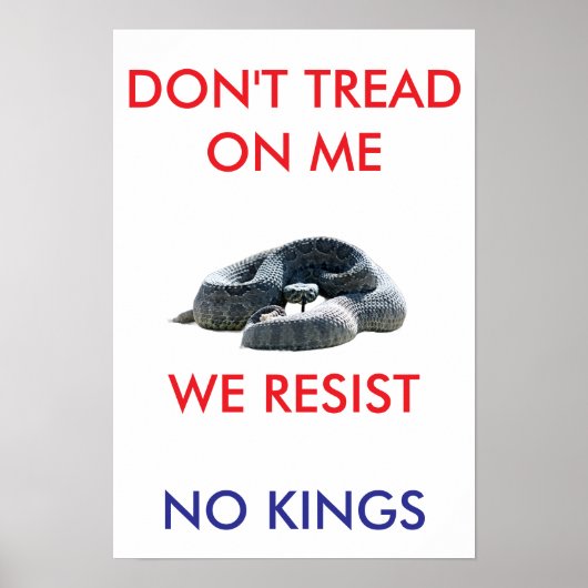 13 X 19 archival hearvy matte paper rally poster (Vorne)