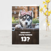 13th Birthday Cute and Funny Surprised Husky Card Karte (Gelbe Blume)