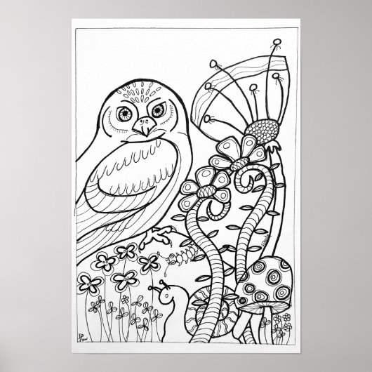 13x19 Farbplakat mit Eule Poster (Vorne)