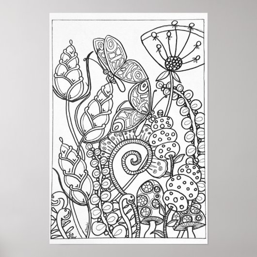 13x19 Farbposter-Schmetterling Poster (Vorne)