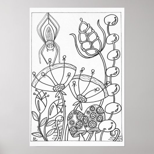 13x19 Farbposter-Spinne Poster (Vorne)