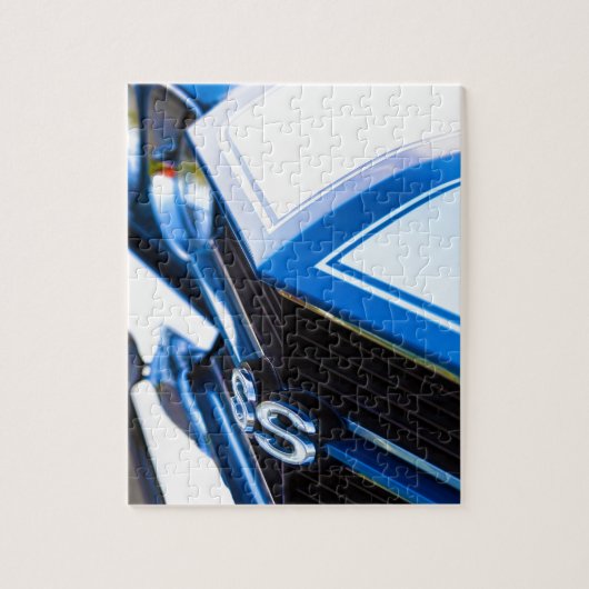 13x19 VI6Q5884_FAA-Recovered Puzzle (Vertikal)