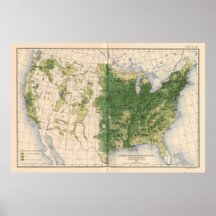 149 Pferde, Maultiere, Esel/Quadratmeilen Poster