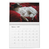 14 2016 seidener Windhounds Kalender (Feb 2027)