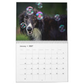 14 2016 seidener Windhounds Kalender (Jan 2027)