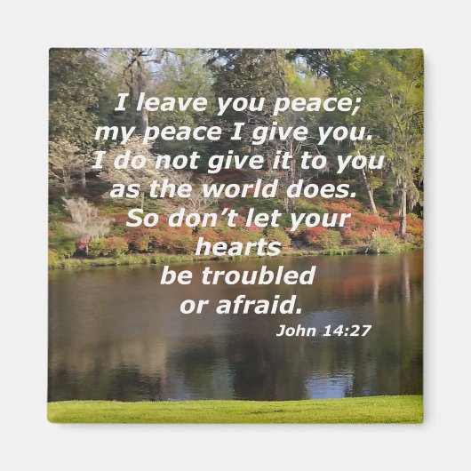 14:27 MAGNET (Vorne)