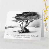 14:7 Große geklappte Grußkarte Karte (Gelbe Blume)