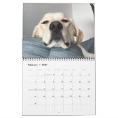 14 Foto Vollabdeckung - Modernes Personalisiert  Kalender (Feb 2027)