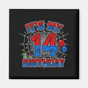 14. Geburtstag Junge 14 Jahre alte Spinnennetz-Geb Magnet