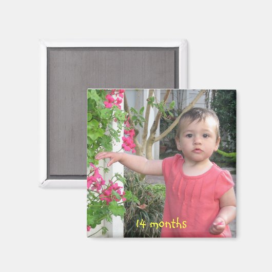 14 Monate, 14 Monate Magnet (Vorderseite/Rückseite)