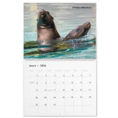 14 photos of mammals kalender (Mär 2026)