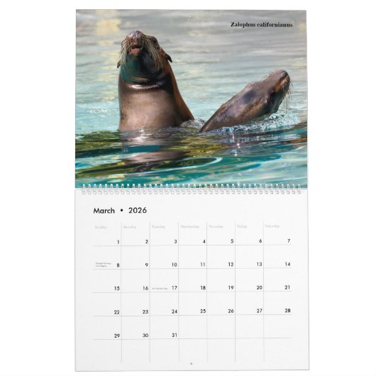 14 photos of mammals kalender (Mär 2026)