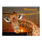 14 photos of mammals kalender (Titelbild)