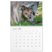14 photos of mammals kalender (Jan 2026)